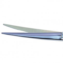 Curved scissors with finger rest, especially for hollow -P110-AGC-CREATION