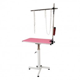 PNEUMATIC TURNING TABLE WITH REMOVABLE HOLDING ARM - PINK -M873-AGC-CREATION