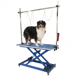 ELECTRIC X-FRAME LIFT TABLE - BLUE -M893-AGC-CREATION