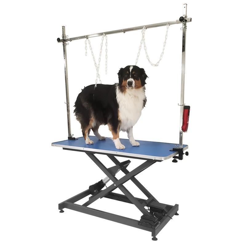 ELECTRIC X-FRAME LIFT TABLE - BLUE -M893-AGC-CREATION