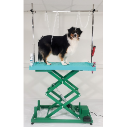 TABLE EVOLUTECH130 ELEVATRICE CHASSIS ELECTRIQUE GRANDE VARIATION - TURQUOISE - CHASSIS VERT -M824-C-AGC-CREATION