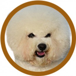 PACK TOILETTAGE BICHON -PACK3-AGC-CREATION