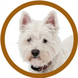 PACK TOILETTAGE WESTIE -PACK7-AGC-CREATION