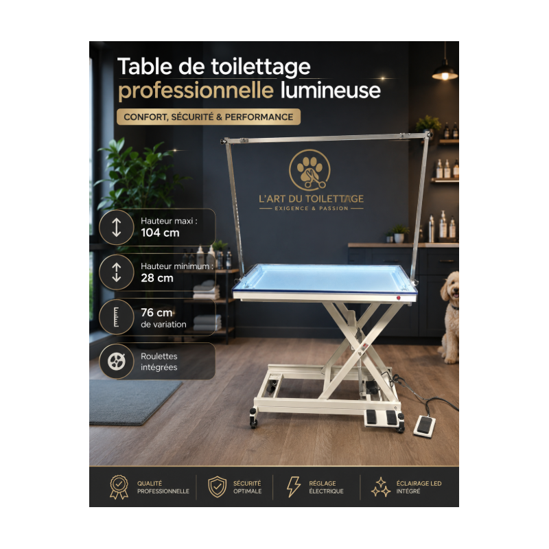 TABLE DE TOILETTAGE ELECTRIQUE LUMINEUSE -CH20-AGC-CREATION