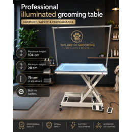 TABLE DE TOILETTAGE ELECTRIQUE LUMINEUSE -CH20-AGC-CREATION