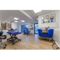 Typical grooming salon -40%