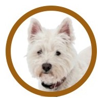 WESTIE