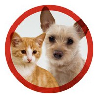 Peignes, cardes et brosses AGC CREATION pour le toilettage canin