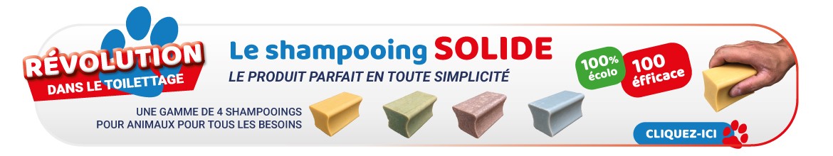 LE SHAMPOOING SOLIDE
