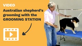 AUSTRALIAN SHEPHERD'S GROOMING WITH THE GROOMING STATION