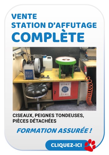 Vente station d'affûtage