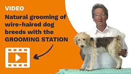 Natural grooming of wire-haired dog breeds with the grooming station